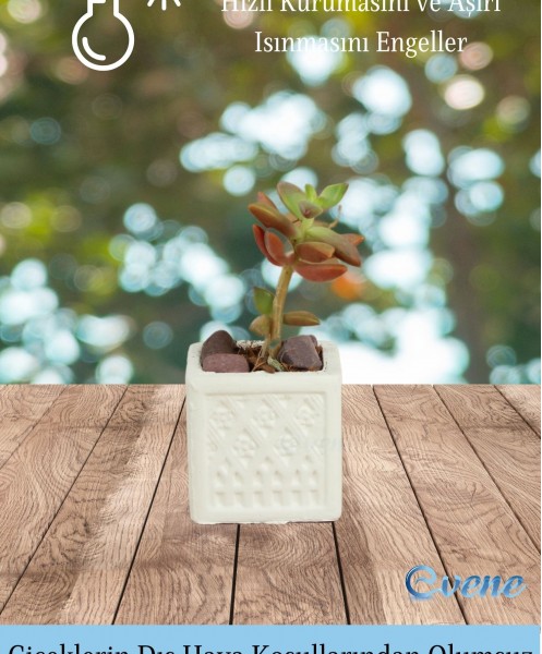 Mini Çiçek Saksı Küçük Sukulent Beyaz Kaktüs Saksısı 3lü Set Mini Kare Model